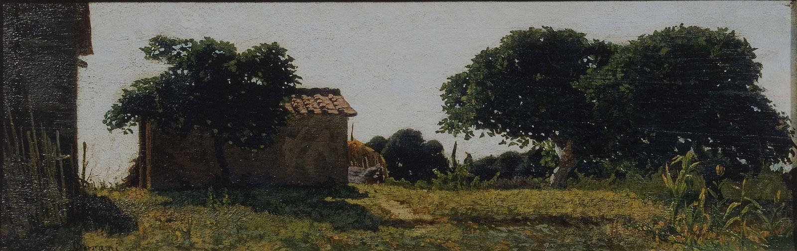 Case di Pannocchio a Castiglioncello